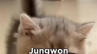 ای خوداااااا... :خنده: فقط جییییییی