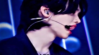 white swan/black swan