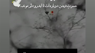 رضازیلابی 