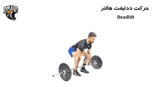 آموزش حرکت ددلیفت | اصول صحیح و نکات مهم