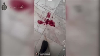 فیلم باورنکردنی از درگیری خونین شهرام شکوهی با همسرش وایرال شد