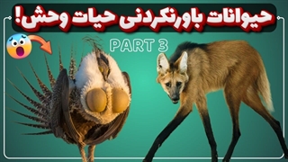 عجیب ترین و باورنکردنی ترین حیوانات جهان | قسمت سوم