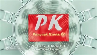 خط تولید سیب زمینی نیمه آماده فرنچ فرایز