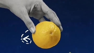 تعرفه ساخت موشن فتومونتاژ چقدر است ؟ نمونه موشن فتومونتاژ خودپرداز میوه | بیاسا