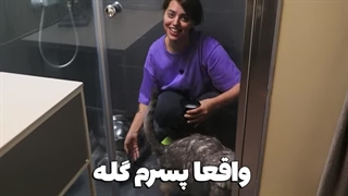 ❌ بالاخره بعد ۳ سال نوبت حموم کردن گربه بزرگم مایکی شد ❌ (ختن)