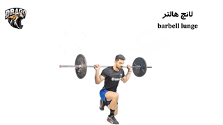 آموزش حرکت لانگز هالتر