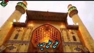 مولودی خوانی - افتاده به دامم چو صیدم به پای ادب - میلاد حضرت علی(ع) - جواد مقدم