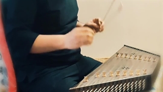 سنتور نوازی نام جاوید وطن