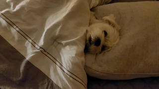 آپدیت امروز جونگوون از مائومییی.....زیرش هم نوشته هیومن:خنده: