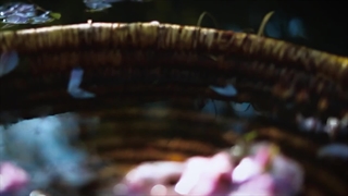 رعایت سبک زندگی سالم، یک قدم ساده ولی بلند برای سلامتی شما و عزیزانتون