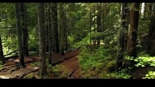 تصنیف گوهر پریشانی