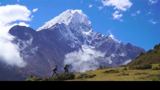 تصنیف سودای یاد یار