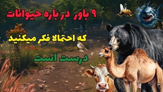 ۹ باوردرمورد حیوانات که احتمالافکر میکنیددرست است/حیوانات/باورهای غلط/حقایق جالب/دانستنی ها/حیات وحش