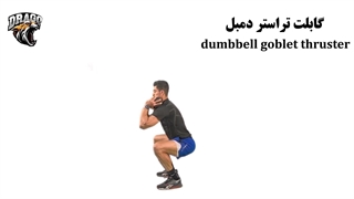 حرکت گابلت تراستر دمبل [آموزش کامل + نکات]