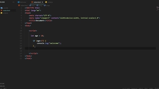 آموزش طراحی سایت|جاوااسکریپت مقدماتی2