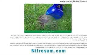 خرید سم مورچه - سم مورچه قوی