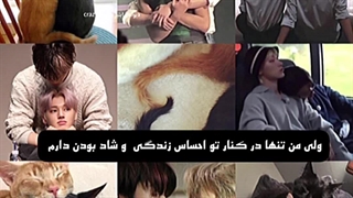 گربه نارنجی + گربه سیاه ؟ ووساننننننن فوروررررر:>