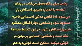 شیپور استاش