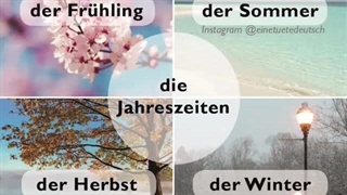 488 چهار فصل سال