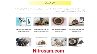 سم نابودی موش - بهترین سم موش کش