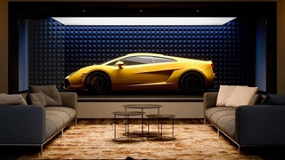 ?Would you rather have a very fast car or a very luxurious home