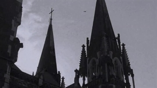 POV: You Accidentally Entered A Vampire's World