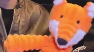 ازین عروسک سونو هم نمیشه گذشت وقتی سونو مریض بود و نتونست برنامه ها رو شرکت کننه اعضا عروسکش رو همه جا همراشون بود..