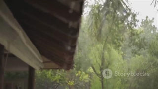 بارانگیر شایسته