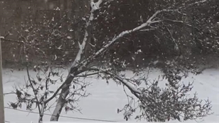 داره برف میباره :) :>>>>>