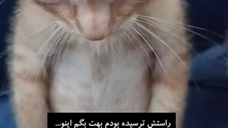 من اسپایدرمنم