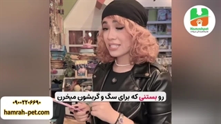 قاشق بستنی گربه وسگ
