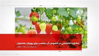 آب مناسب برای پرورش توت فرنگی در گلخانه