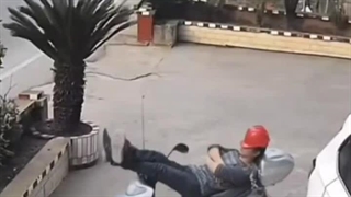 شانسو نگاه