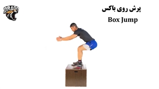 حرکت پرش روی باکس (Box Jump) در کراسفیت [آموزش کامل تکنیک]