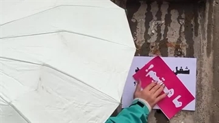 دستگاه خشک کن میوه و سبزیجات خانگی و صنعتی شرکت تاوریس صنعت