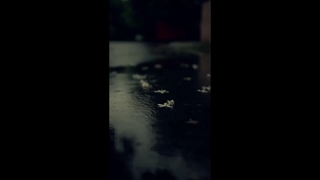 آهنگ جدید محمدسعیدهرندی به اسم عادت