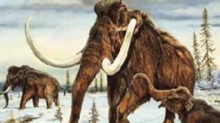 Woolly Mammoth Tribute