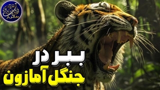 آیا ببرها میتوانند در جنگل های بارانی آمازون زندگی کنند؟