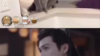 اینا چقدر شبیه همن گوگولی( سریال شکوفایی عشق)