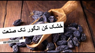 خشک کردن انگور با دستگاه خشک کن