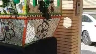 اجاره تفت در اصفهان ۰۹۱۶۲۰۳۰۴۰۱