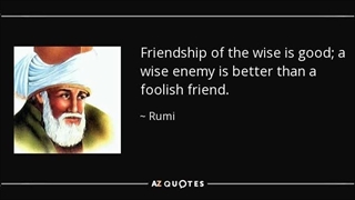 Is a wise enemy better than a foolish friend
