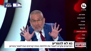بینگو