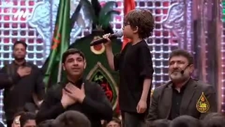 غوغای مداح کوچولو